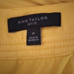 Ann Taylor Pleated Skirt